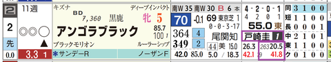 アンゴラブラック（戸崎騎手）