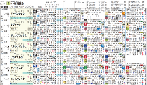 新潟記念の想定版