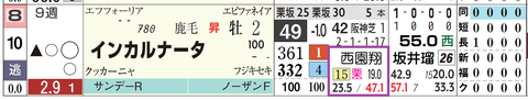 インカルナータ（西園翔厩舎）