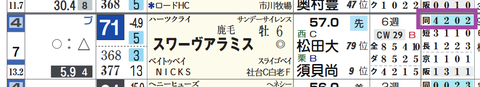 スワーヴアラミス（「距離実績」）