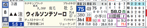 ウィルソンテソーロ(川田騎手)