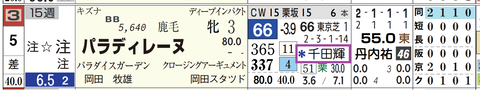 パラディレーヌ（２頭出し以上は「＊」で表示）
