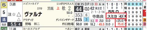 スミヨン騎手