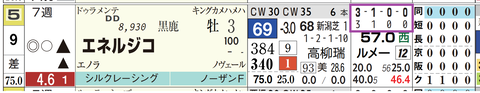 エネルジコ（「全成績」「芝成績」）