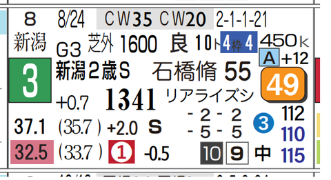 フェスティバルヒル（新潟２歳Ｓ）