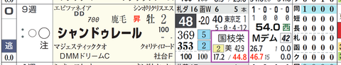 シャンドゥレール（国枝厩舎）
