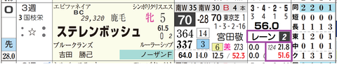 ステレンボッシュ（レーン騎手）