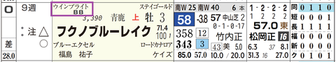 フクノブルーレイク（ウインブライト産駒）