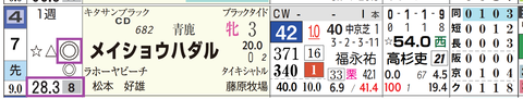 阪神4R4