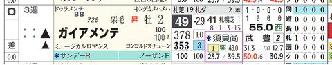 ガイアメンテ（須貝厩舎）