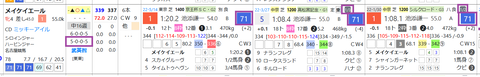 メイケイエール