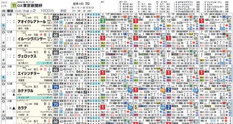 東京新聞杯の想定版（ヨコ）