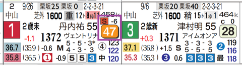 ハンサム（未勝利）