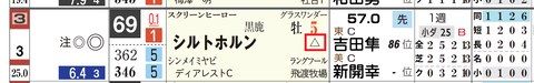 シルトホルン（「重馬場適性」）