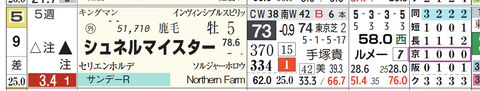 シュネルマイスター（「コース実績」）