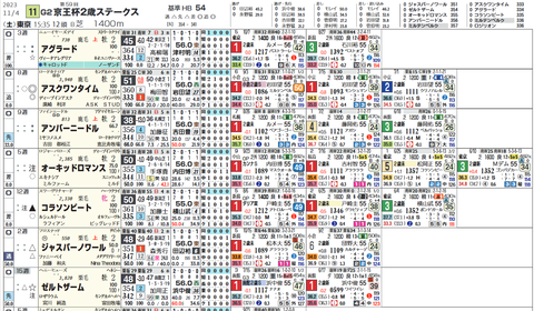 京王杯２歳Ｓの想定１