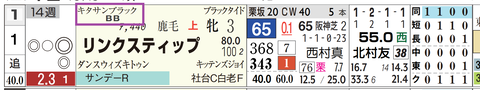 リンクスティップ（キタサンブラック産駒）