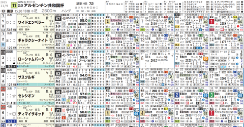 アルゼンチン共和国杯1