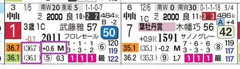 ステラスペース（前走）