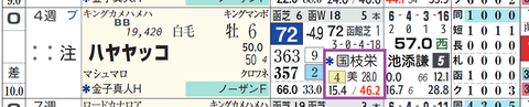 ハヤヤッコ（国枝厩舎）