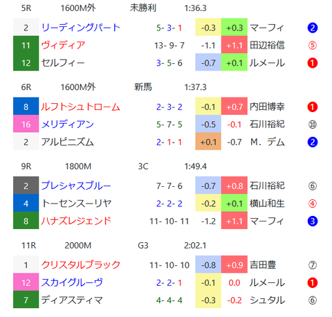 日曜の中山の芝