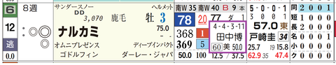 ナルカミ（田中博康厩舎）