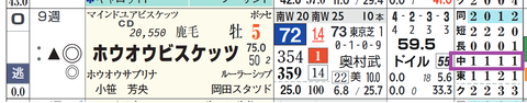 ホウオウビスケッツ（「コース実績」）