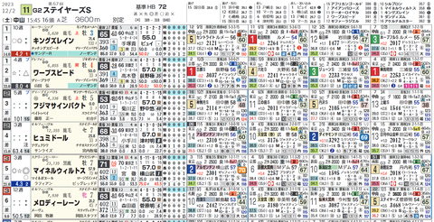 ステイヤーズＳ１