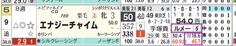 エナジーチャイム（ルメール騎手）