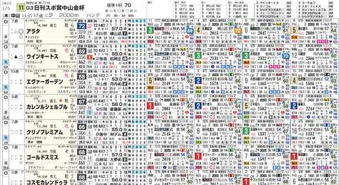 中山金杯の想定版(ヨコ)
