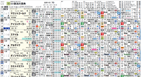新潟大賞典１