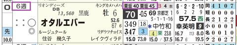 オタルエバー（「追切指数」）