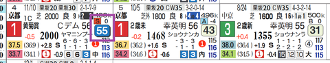 ミュージアムマイル(黄菊賞)