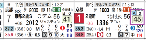 バルセシート（新馬）