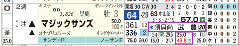 マジックサンズ(「騎手×厩舎成績」)