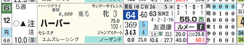 ハーパー(ルメール騎手)
