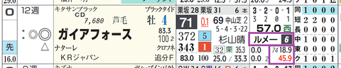 ガイアフォース（ルメール騎手）