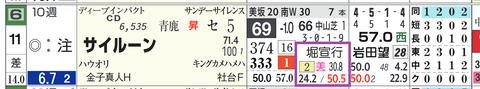 サイルーン(堀厩舎)