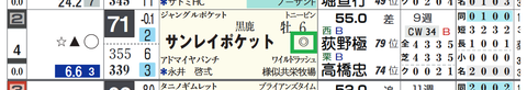 サンレイポケット（「重馬場適性」）