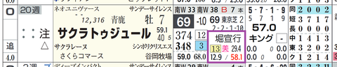 サクラトゥジュール（堀厩舎）