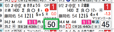 ポールネイロン（「ハイブリッド指数」）