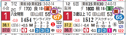 ショウナンバンライ(「レースレベル」=《S》)