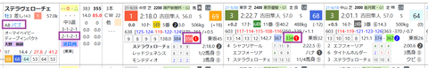 ステラヴェローチェ