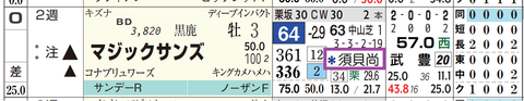 マジックサンズ(2頭出し以上は「*」で表示)