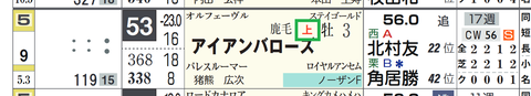 アイアンバローズ（格上挑戦）