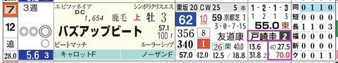 バズアップビート（戸崎騎手）