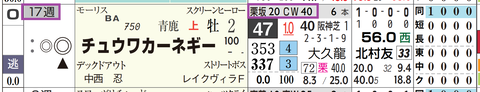 チュウワカーネギー（「追切指数」）