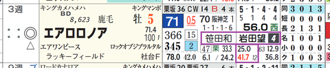 エアロロノア（「騎手×厩舎成績」）
