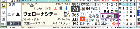 ヴェローナシチー(川田騎手)