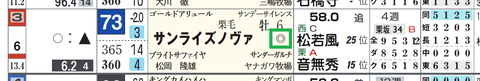 サンライズノヴァ（「重馬場適性」）